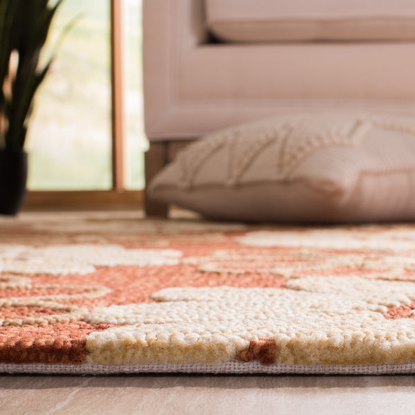Safavieh Frs220 Hand Hooked 100% Polyester Pile Indoor/Outdoor Rug FRS220B-2848