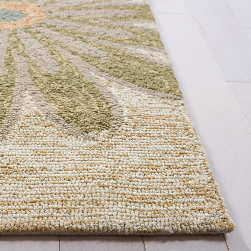 Safavieh Frs222 Hand Hooked 100% Polyester Pile Indoor/Outdoor Rug FRS222A-28
