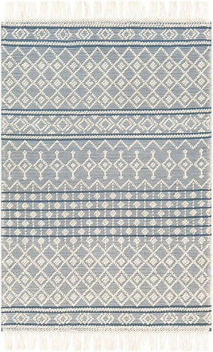 Farmhouse Tassels FTS-2304 Cottage Wool, Cotton Rug FTS2304-912 Denim, White 60% Wool, 40% Cotton 9' x 12'