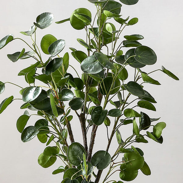 Faux Polyscias Fruticosa Potted Tree - Lush Indoor Decor, Low Maintenance, Perfect for Any Space!