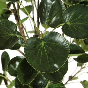 Faux Polyscias Fruticosa Potted Tree - Lush Indoor Decor, Low Maintenance, Perfect for Any Space!