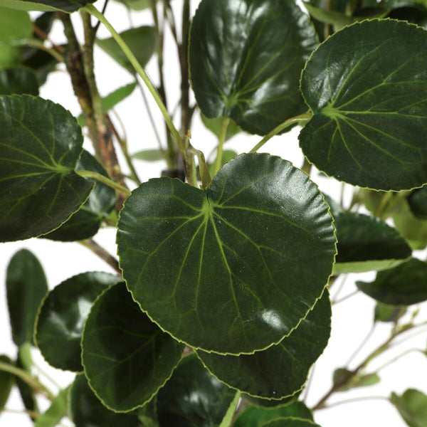 Faux Polyscias Fruticosa Potted Tree - Lush Indoor Decor, Low Maintenance, Perfect for Any Space!