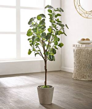 Faux Polyscias Fruticosa Potted Tree - Lush Indoor Decor, Low Maintenance, Perfect for Any Space!
