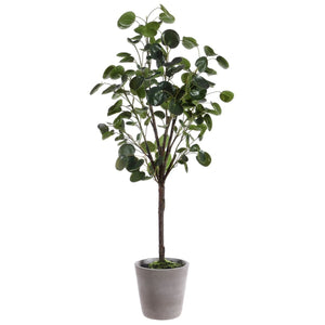 Faux Polyscias Fruticosa Potted Tree - Lush Indoor Decor, Low Maintenance, Perfect for Any Space!