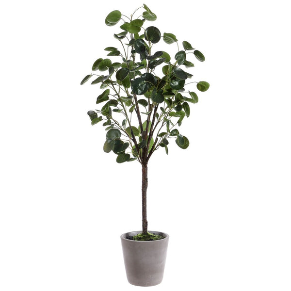Faux Polyscias Fruticosa Potted Tree - Lush Indoor Decor, Low Maintenance, Perfect for Any Space!