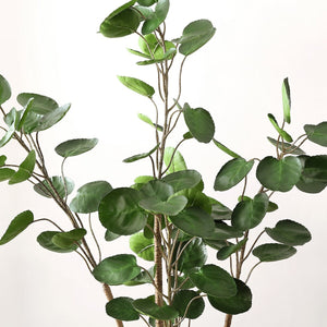 Safavieh Faux Polyscias Potted Tree Pot: Black 90%Plastic / 5% Metal / 5% Cement  FXP1003A