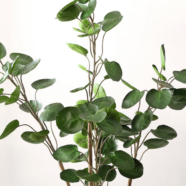 Safavieh Faux Polyscias Potted Tree Pot: Black 90%Plastic / 5% Metal / 5% Cement  FXP1003A