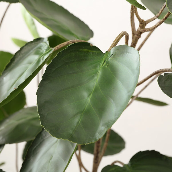 Safavieh Faux Polyscias Potted Tree Pot: Black 90%Plastic / 5% Metal / 5% Cement  FXP1003A