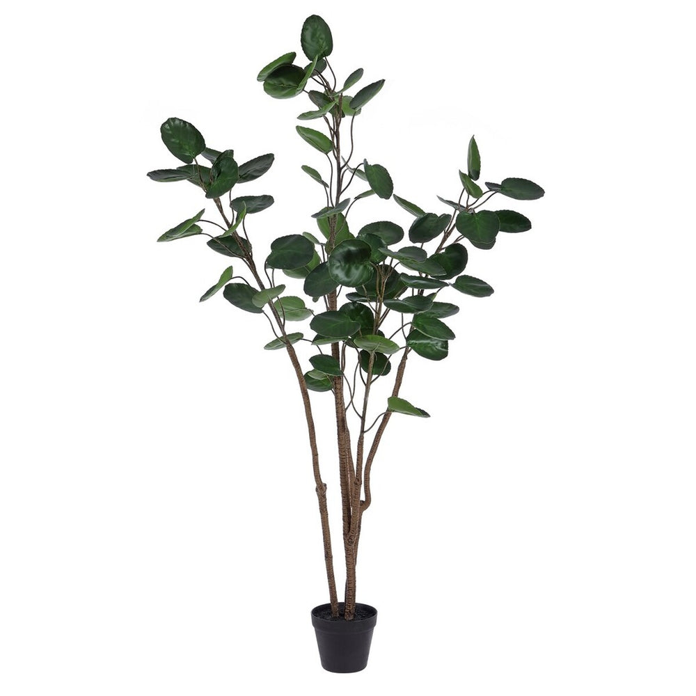 Safavieh Faux Polyscias Potted Tree Pot: Black 90%Plastic / 5% Metal / 5% Cement  FXP1003A