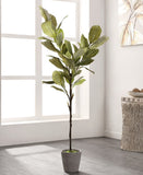 Faux Magnolia Potted Tree