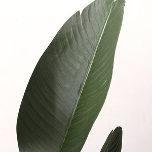 Faux Gladiolus Potted Plant - Lush Artificial Floral Decor for a Relaxed, Exotic Home Ambiance