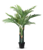Faux Golden Can Palm 49