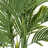 Safavieh Faux Golden Can Palm 49" Potted Tree Green Plastic / Polyester / Cement FXP2006A