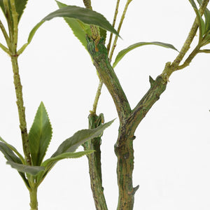 Safavieh Faux Pieris Japonica 32" Potted Plant Green Plastic / Polyester / Cement FXP2012A