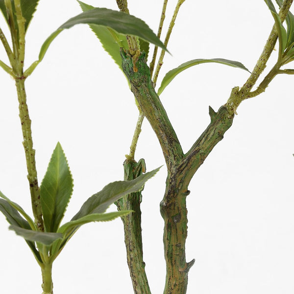 Safavieh Faux Pieris Japonica 32" Potted Plant Green Plastic / Polyester / Cement FXP2012A