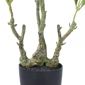 Safavieh Faux Pieris Japonica 32" Potted Plant Green Plastic / Polyester / Cement FXP2012A