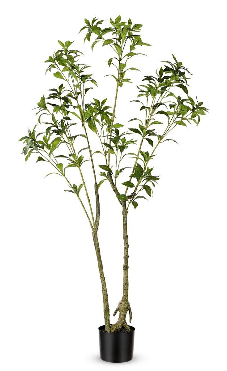 Safavieh Faux Pieris Japonica 60" Potted Plant Green Plastic / Polyester / Cement FXP2013A