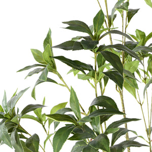 Safavieh Faux Pieris Japonica 60" Potted Plant Green Plastic / Polyester / Cement FXP2013A