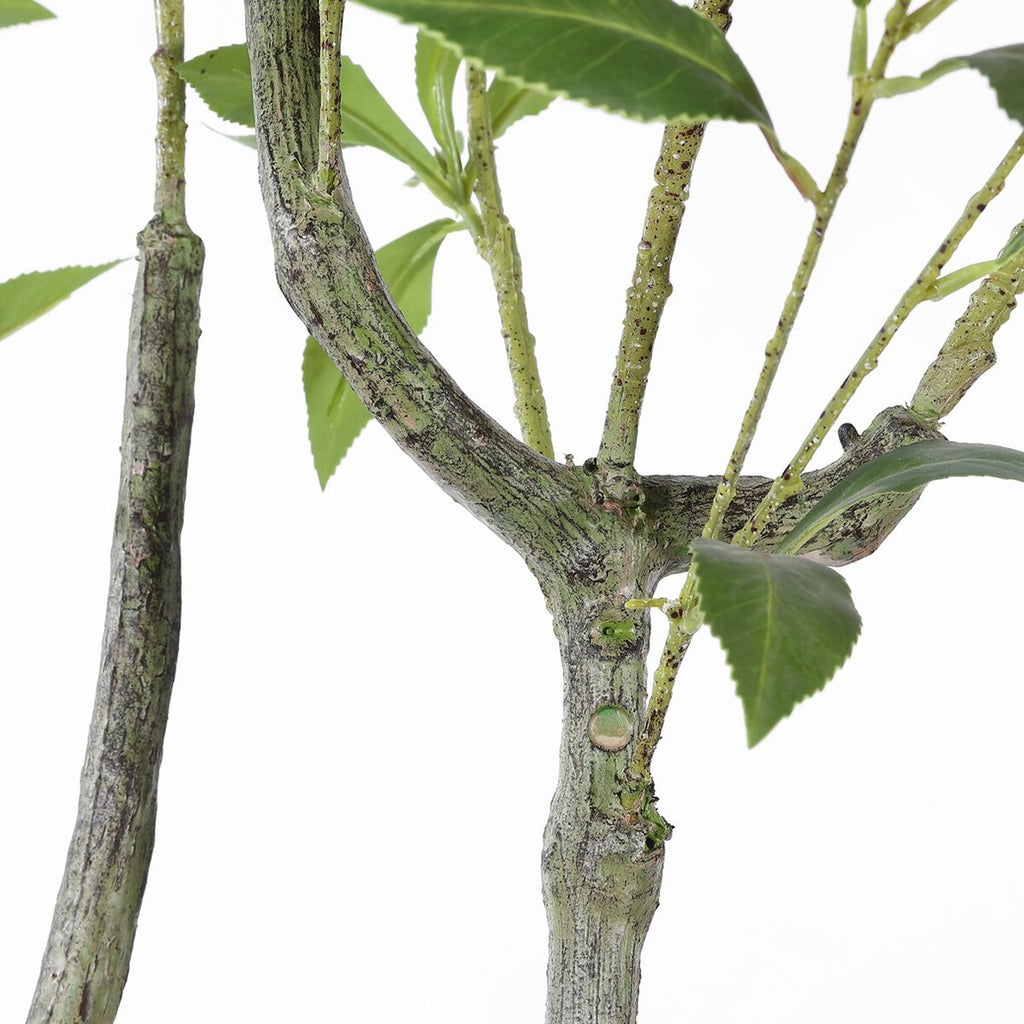 Realistic Pieris Japonica Branch Fake Greenery Faux Plant