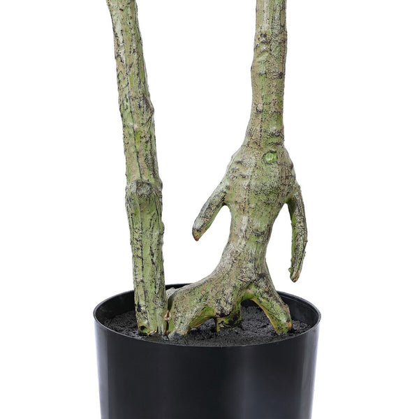 Safavieh Faux Pieris Japonica 60" Potted Plant Green Plastic / Polyester / Cement FXP2013A