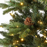 Safavieh 5.5 Ft, Green, Pre-Lit Artificial Christmas Tree With Pine Cones Green Plastic / Iron / Pine Cones FXP2020A