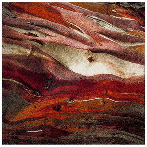 Safavieh Glacier 126 Power Loomed 100% Polypropylene Contemporary Rug GLA126A-9SQ