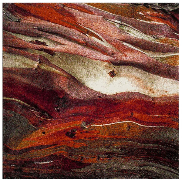 Safavieh Glacier 126 Power Loomed 100% Polypropylene Contemporary Rug GLA126A-9SQ