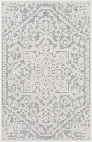Greenwich GWC-2319 Traditional Polypropylene Rug GWC2319-71010 Cream, Medium Gray 100% Polypropylene 7'10" x 10'