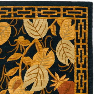 Safavieh HA239 Rug