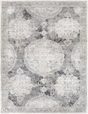 Harput HAP-1041 Traditional Polypropylene Rug HAP1041-710103 Light Gray, Medium Gray, Ivory, Charcoal 100% Polypropylene 7'10" x 10'3"