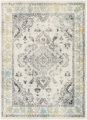 Harput HAP-1121 Traditional Polypropylene Rug HAP1121-710103  100% Polypropylene 7'10" x 10'3"