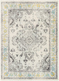 Harput HAP-1121 Traditional Polypropylene Rug