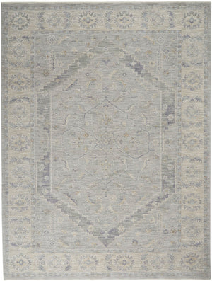 Nourison Asher ASR02 Persian Machine Made Power-loomed Indoor only Area Rug Grey 9'3" x 12'7" 99446806901
