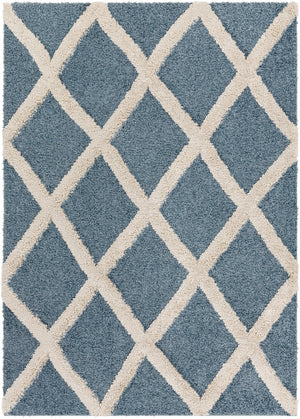 Surya Hudson shag Traditional HDS-2301 Rug HDS2301-9212