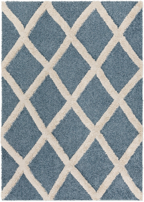 Surya Hudson shag Traditional HDS-2301 Rug HDS2301-9212