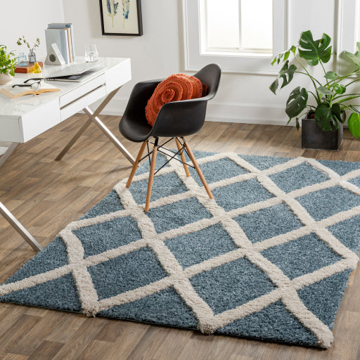 Surya Hudson shag Traditional HDS-2301 Rug HDS2301-9212