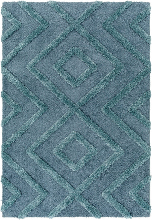 Surya Hudson shag Global HDS-2302 Rug HDS2302-9212