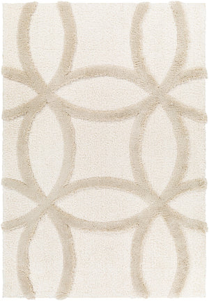 Surya Hudson shag Traditional HDS-2303 Rug HDS2303-9212