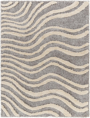 Surya Hudson shag Modern HDS-2307 Rug HDS2307-9212