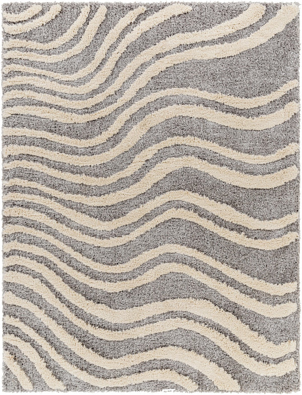 Surya Hudson shag Modern HDS-2307 Rug HDS2307-9212
