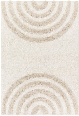 Surya Hudson shag Modern HDS-2308 Rug HDS2308-9212