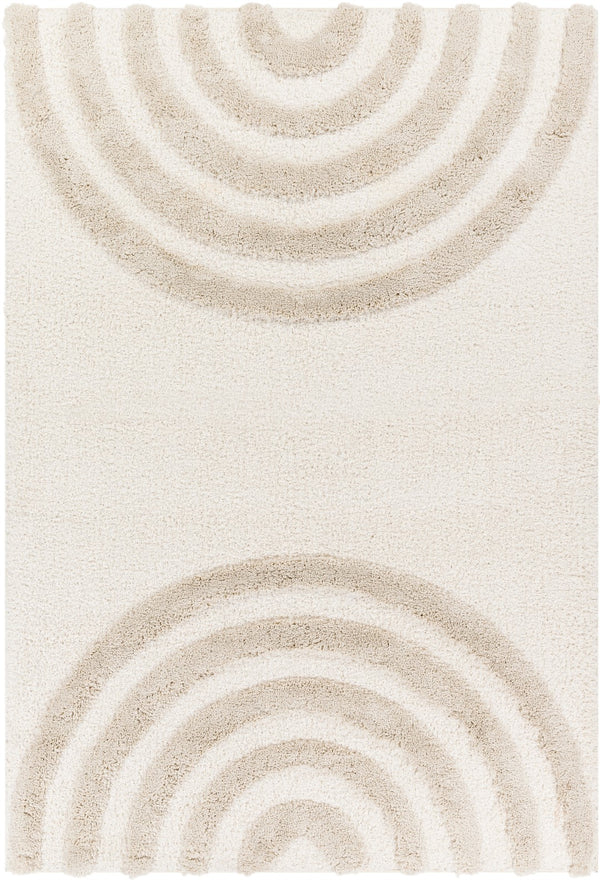 Surya Hudson shag Modern HDS-2308 Rug HDS2308-9212
