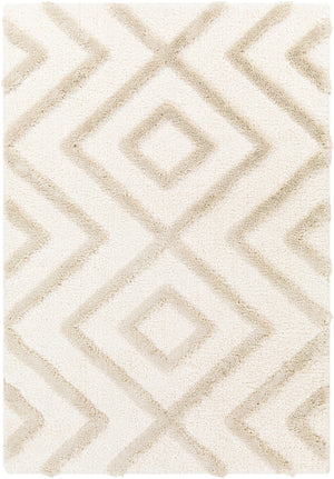 Surya Hudson shag Global HDS-2309 Rug HDS2309-9212