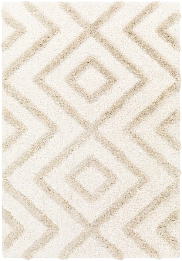 Surya Hudson shag Global HDS-2309 Rug HDS2309-9212