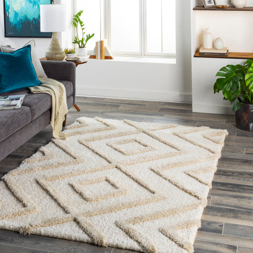 Surya Hudson shag Global HDS-2309 Rug HDS2309-9212
