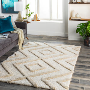 Surya Hudson shag Global HDS-2309 Rug HDS2309-9212