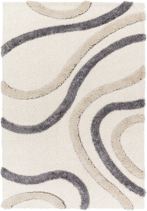 Surya Hudson shag Modern HDS-2313 Rug HDS2313-9212