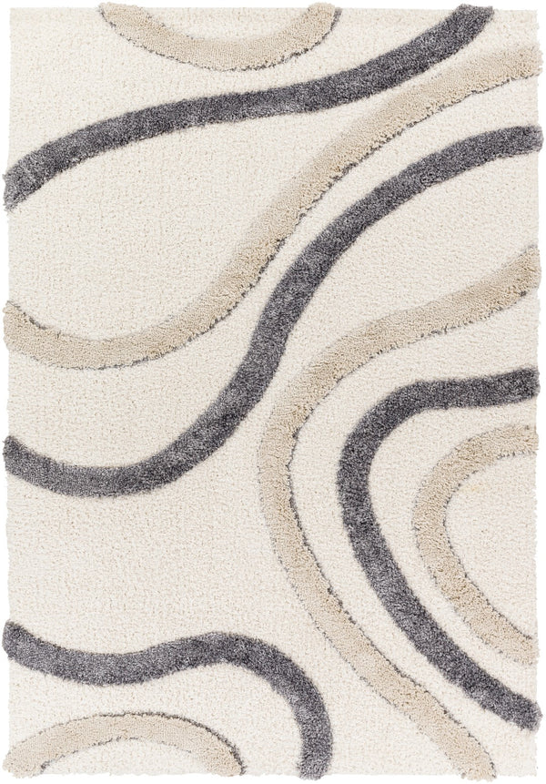 Surya Hudson shag Modern HDS-2313 Rug HDS2313-9212