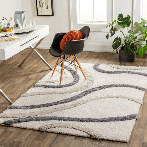 Surya Hudson shag Modern HDS-2313 Rug HDS2313-9212