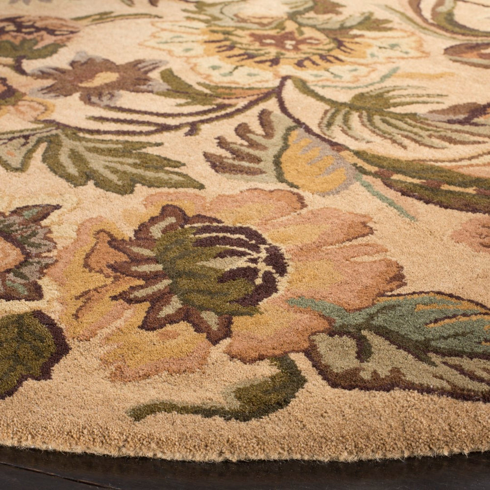 Safavieh Heritage HG511 Hand Tufted Rug